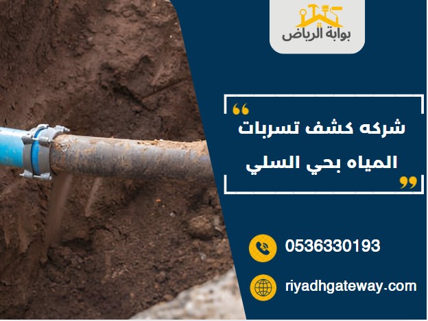 شركه كشف تسربات المياه بحي السلي