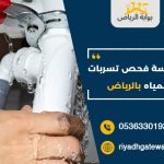 مؤسسه فحص تسربات المياه بالرياض