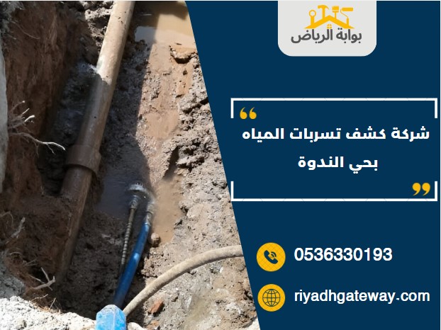 شركة كشف تسربات المياه بحي الندوة 