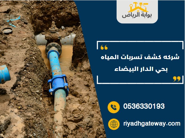 شركه كشف تسربات المياه بحي الدار البيضاء
