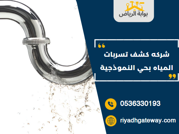 شركه كشف تسربات المياه بحي النموذجية